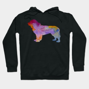 Newfoundland Dog Hoodie